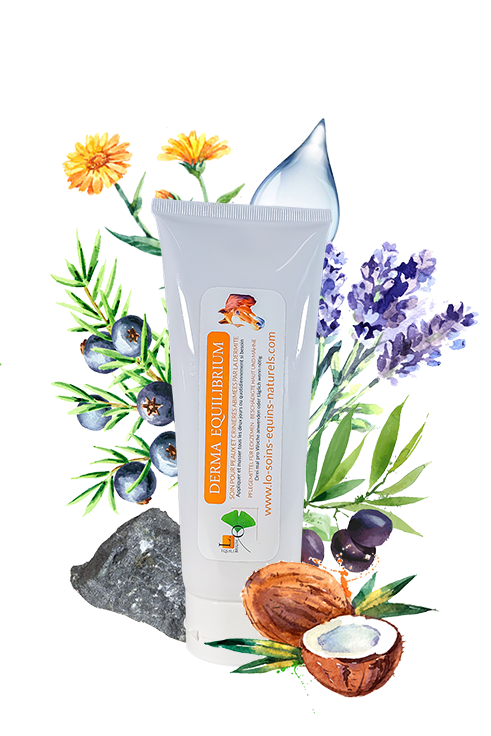 produit derma equilibrium soin cheval